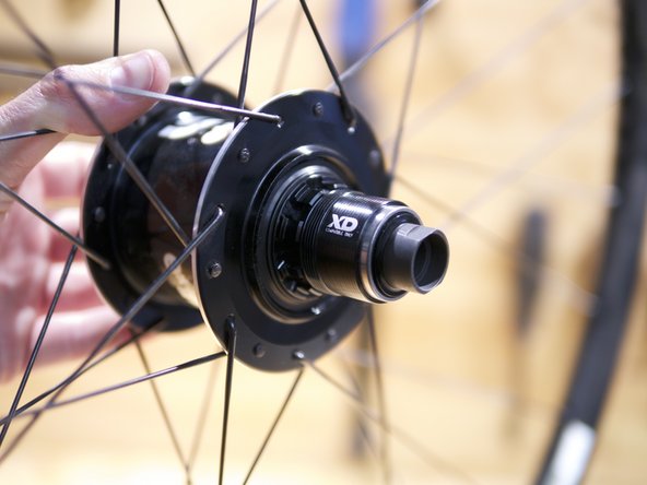 For information on lube and service for the freehub body please see our freehub service instructions