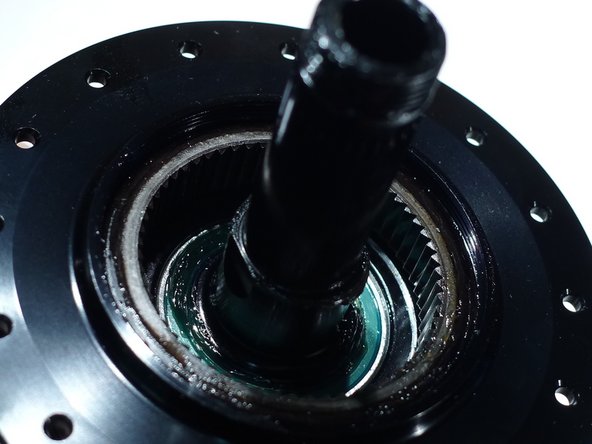 Be careful not to lose the pawls as they may fall while removing the freehub body