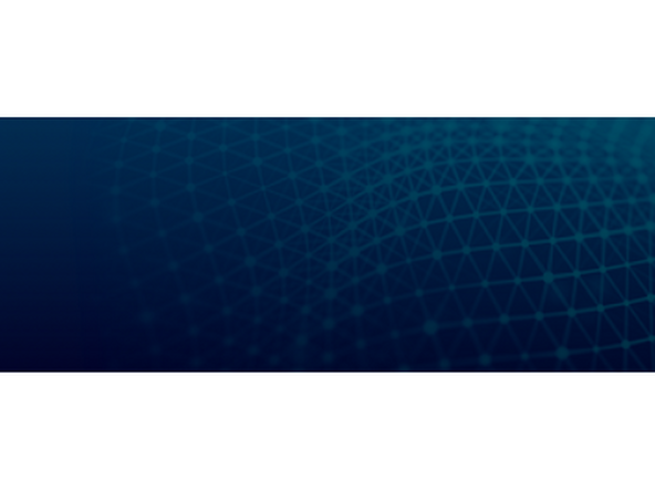 Restart Siemens License Server for CMVM
