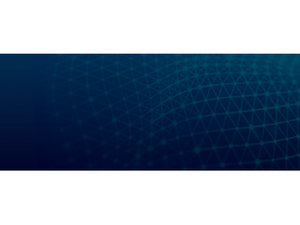 Restart Siemens License Server for CMVM