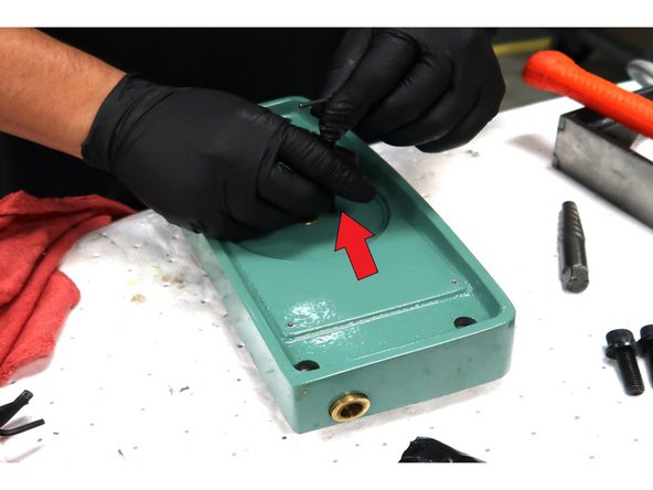 Behind the plates, there are two set screws in the same hole. Remove both of them.