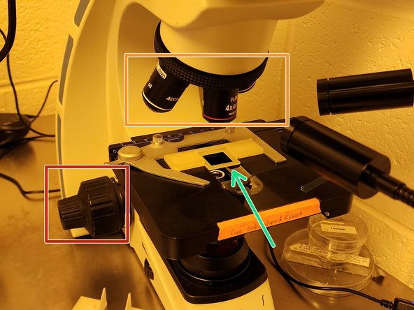 Turn the coarse adjustment knob (the bigger one) until the stage reaches its lowest point.