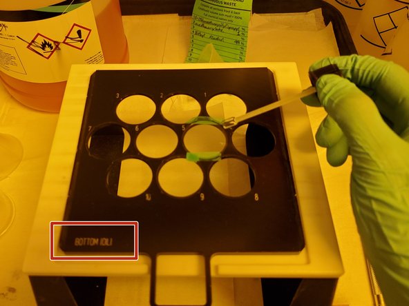 Ensure that the slide holder is positioned with the side labeled &quot;bottom&quot; facing upwards.