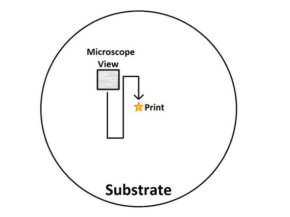 If you're having difficulty finding your print, start looking at an off-center location and methodically move your field of view across the slide (see the second image as an example).