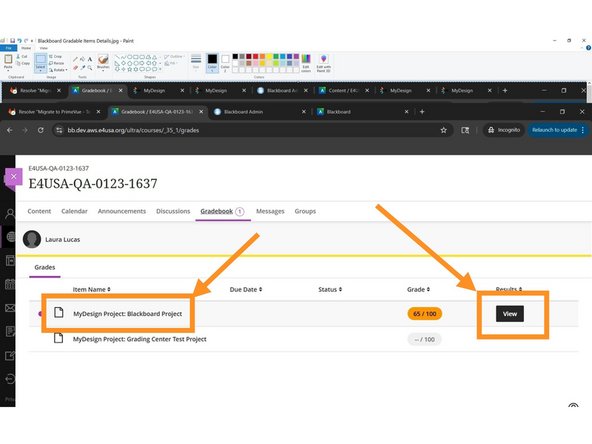 Select Project or View to provide feedback to students