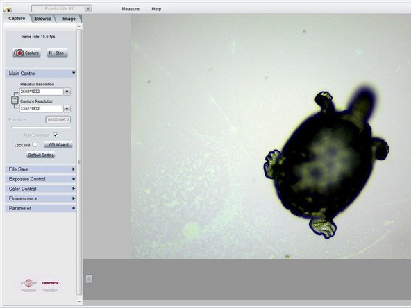 For very small parts, it may be difficult to distinguish between debris and the print. Look for a crisply defined shape with regular features; alternatively, use a higher-powered objective.