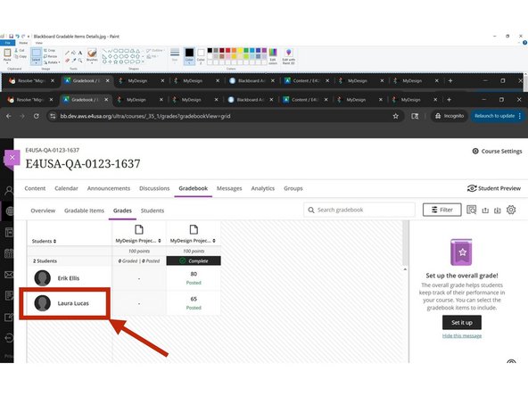 Select Student to view individual grades on projects