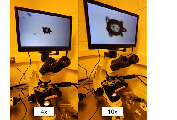 Changing to a more powerful objective will allow you to better see your print.