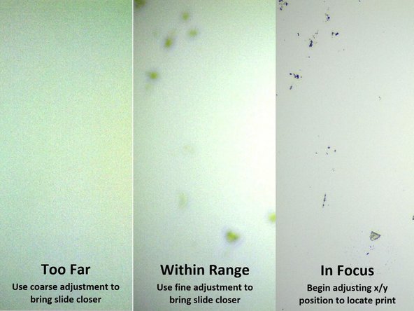 Use the fine adjustment for more controlled movement to bring the slide into focus.