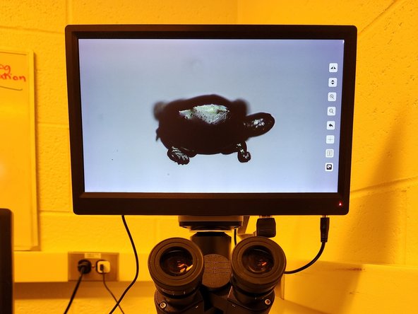 Note that you don't need to find the sample immediately, focusing on the substrate is a good start.