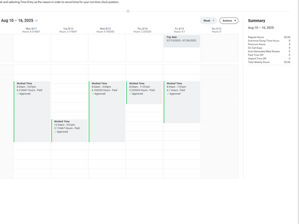 Time and Payslips in Workday