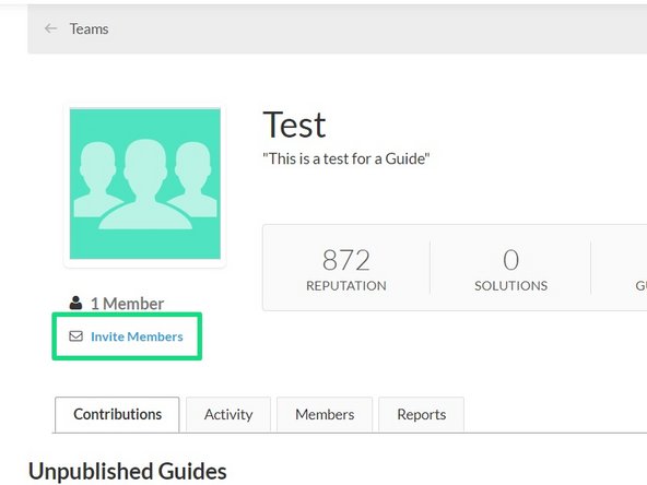 After the team is set up, add users to if by clicking invite members