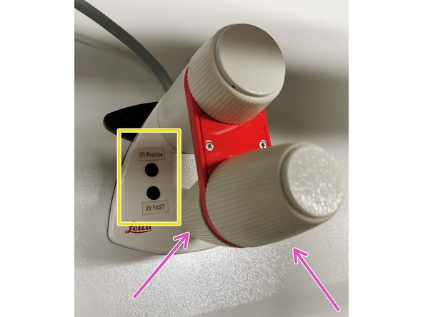 Place your sample with the coverslip facing down and fix it with the two clamps .