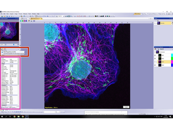 Right-Click on the image and from the appearing window, select properties.