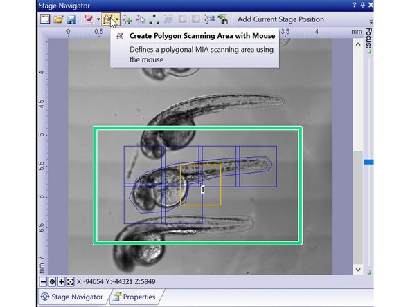Go to your first position.