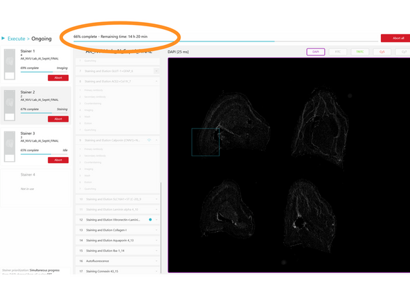 Once all parameters have been reviewed and are correct, click START to begin the automated execution of the run.