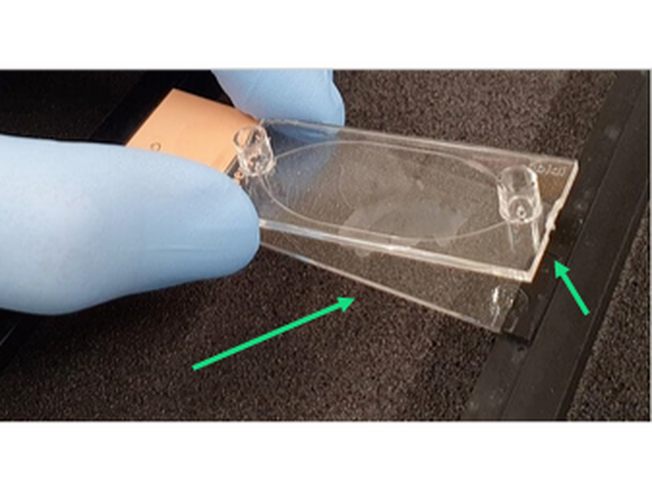2. Clean excess tissue or folded sections away and make dry surface for applying sticky slide to glass coverslip