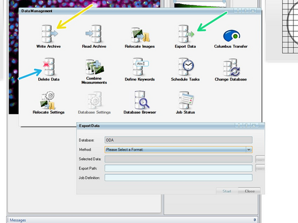 You access the Data Management