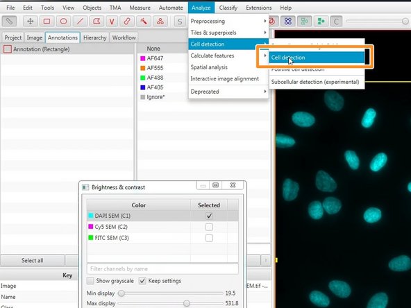 You can also select the whole image using Objects ‣ Annotations ‣ Create full image annotation