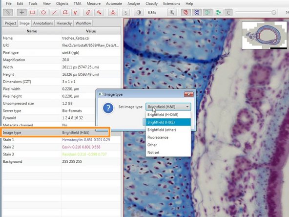 Different LUTs are applied depending on the set image type. This also affects further processing steps. Make sure your image type is correctly set.