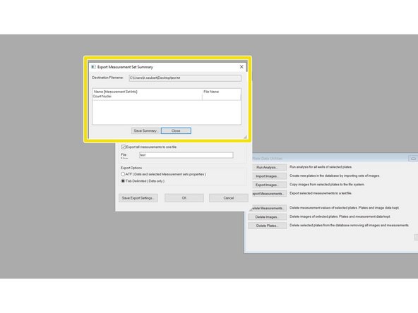 Check &quot;Export all measurements to one file&quot; and define a File Name.
