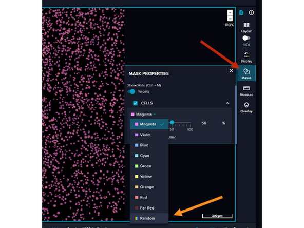 Click Masks to adjust mask settings.