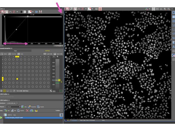 Press auto scale - if the max intensity value is 4,096 (for 12-bit), the image is saturated. This will help you to discover saturation, if your eye will overlook few red pixels
