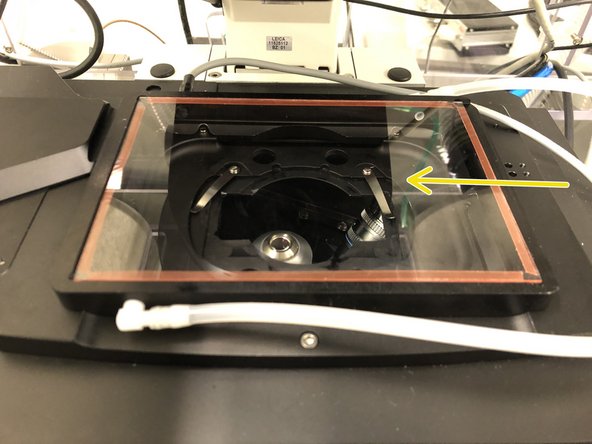 You will find the frame inside the incubation chamber.