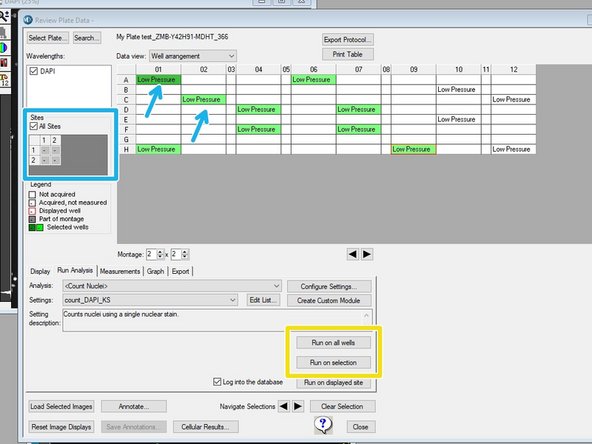 You can now run the segmentation algorithm either onthe whole plate or on on a selection.