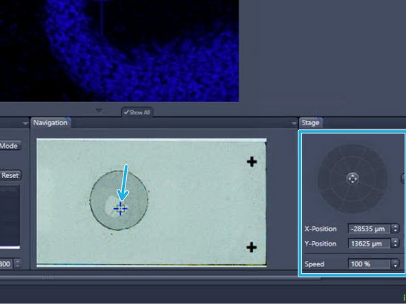 Expand the &quot;Channels&quot; drop down menu and set your nuclear staining channel, or primary channel of interest as reference channel for the autofocus.