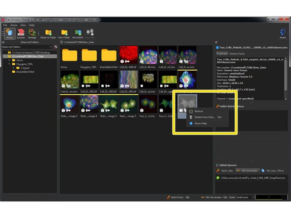You can see them now again as grey thumbnails. Right click and &quot;Restore&quot; on such a grey thumbnail allows you to restore it.