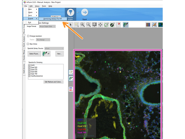 After calculation the software will display the unmixed image based on the &quot;synthetic dye library&quot; of InForm. You should notice a clear reduction in background signal.