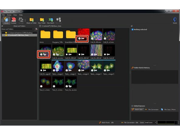 The small symbols on the thumbnails indicate the file dimensions and format. The  arrows indicates that a file is its source format such as .tif or .lif and has yet to be imported for visualization.