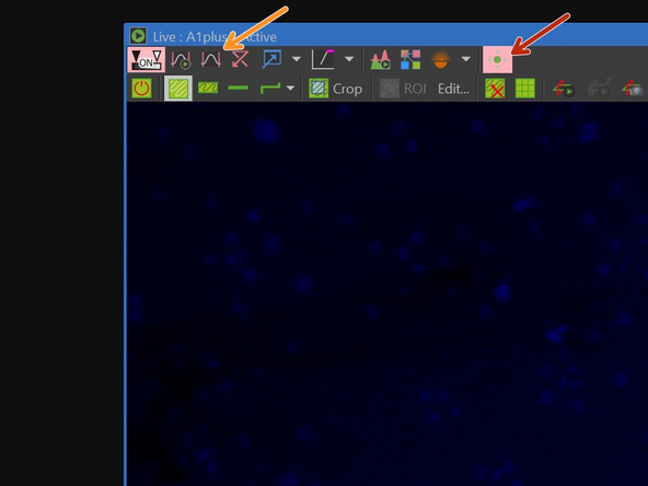 If you do not see any signal, you may be slightly out of focus or you need to scale the histogram.