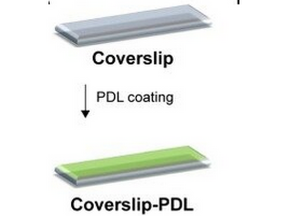 IBEX- Recommended to coat in Chrome Alum Gelatin