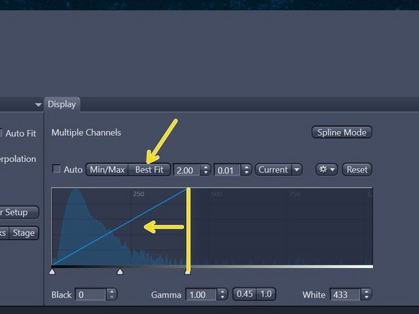 When clicked on Live a new tab with the live view will pop up. In case you don't see much, you need to adjust the histogram.