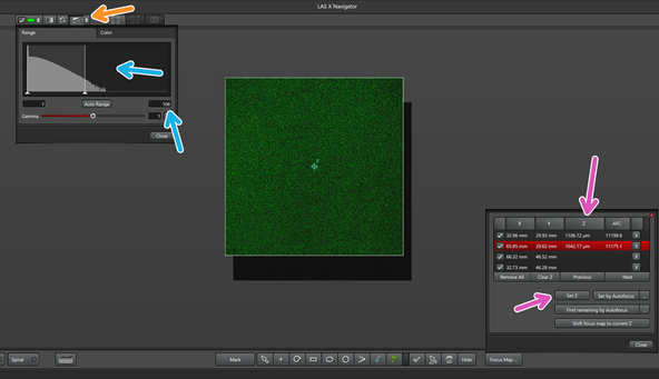 Set 4 focus points approximately on the corners of the slide.