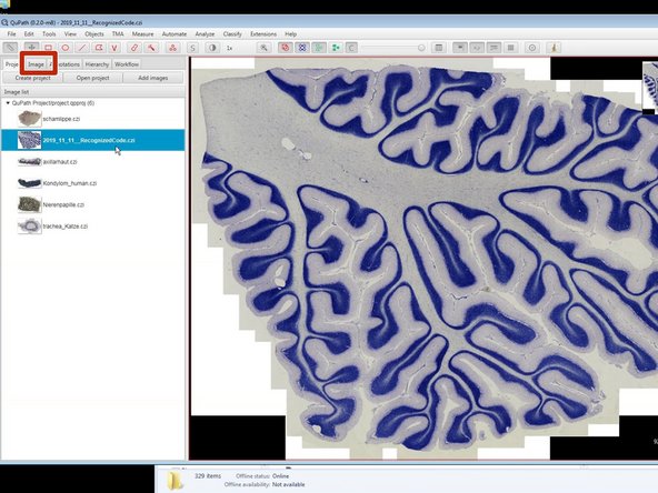 You can now navigate your images using the mouse.