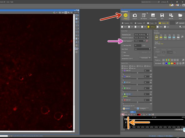 Click on &quot;Live&quot;