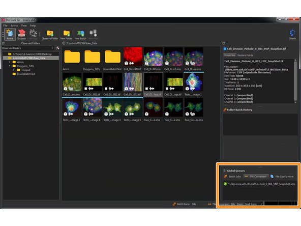 You can see the progress of your file conversion in the &quot;Global Queues&quot; area of your Arena view.