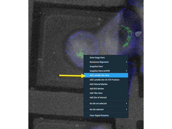 Right-click on the cell -&gt; Add lamella site here