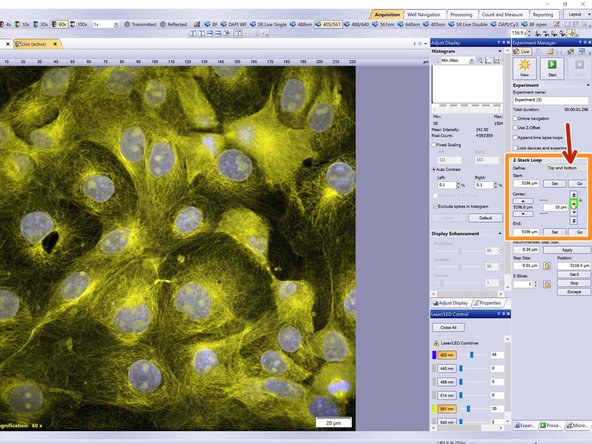Go to the &quot;Z-Stack Loop&quot; section in the &quot;Experiment Manager&quot;.
