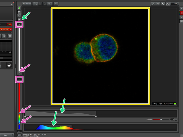 TauContrast produces two different images: an intensity and lifetime-image (avarage arrival time of the photons), which are overlaid in the software. In order to avoid redundant (intensity) images, you can chose "None" in the TauModes.