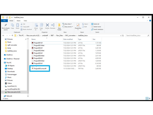 The progress of the conversion is shown in the right tab.