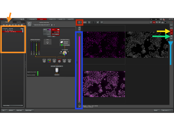 To review acquired images, ensure you are in the "Multichannel Viewer" interface.
