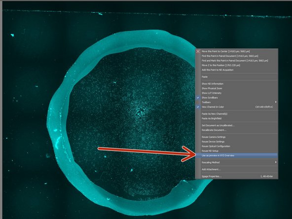 Right click into overview image