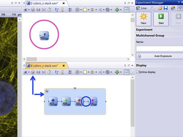 Example 1 - dual camera simultaneous acquisition - 405/561