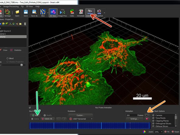 To render 3D or 4D data sets as a movie sequence use the Animation icon.