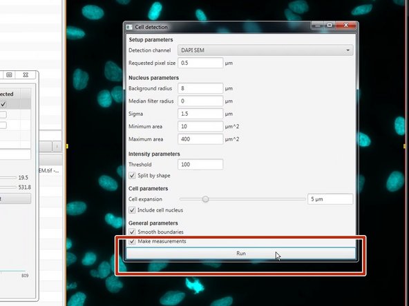 Press the Run button at the bottom of the dialog.  After a few seconds, cells should appear in the area you have selected.