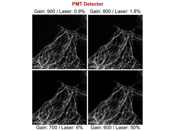 Note how signal to noise ratio improves from top to bottom right with lower Gain settings and higher Laser Power.